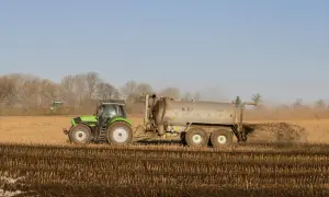 Zielony traktor z przyczepą rozprowadza obornik pod warzywa na polu.
