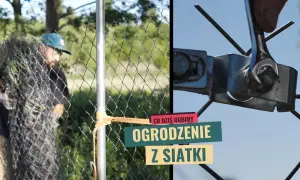 Jak wykonać ogrodzenie z siatki – proste kroki i cenne wskazówki
