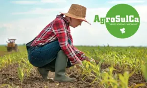 Rolniczka w kapeluszu dogląda młodych roślin kukurydzy. W tle widać traktor. Logo AgroSulCa sugeruje nawóz dla zdrowego pomiotu kurzego.