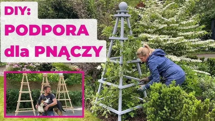 Jak zrobić pergolę na róże, aby pięknie kwitły przez lata