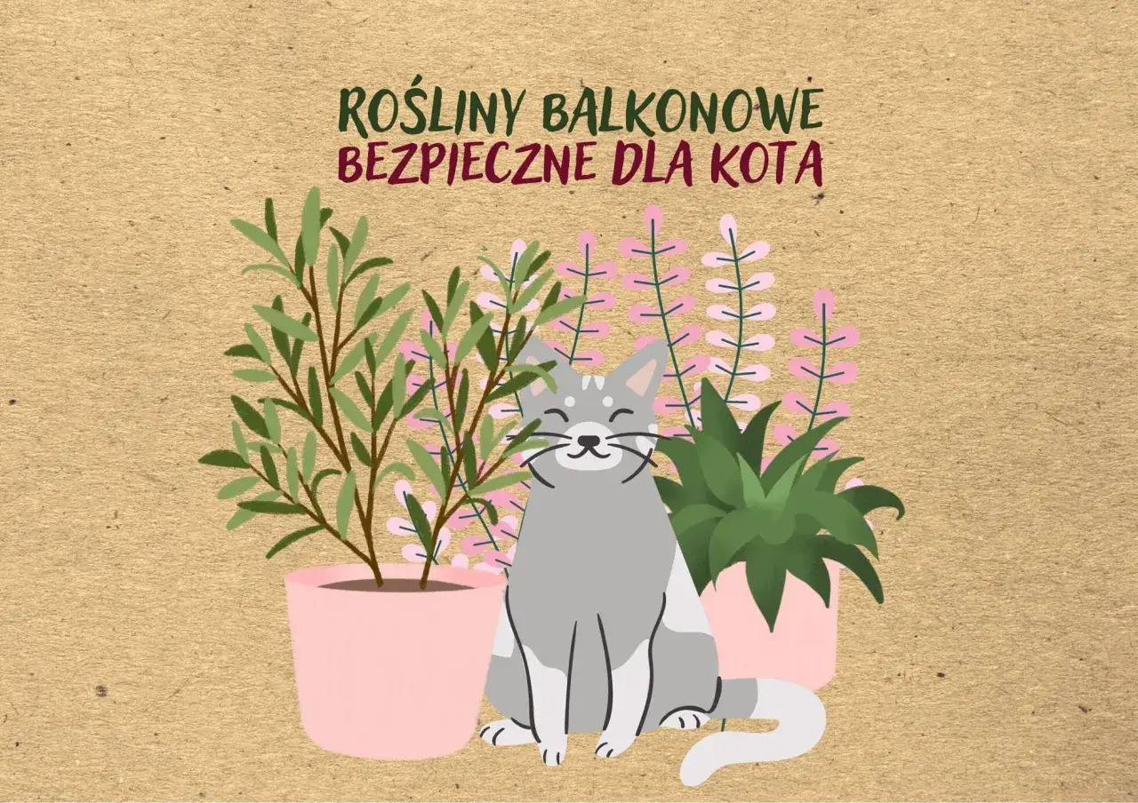 Ilustracja z kotem i roślinami doniczkowymi. Napis: