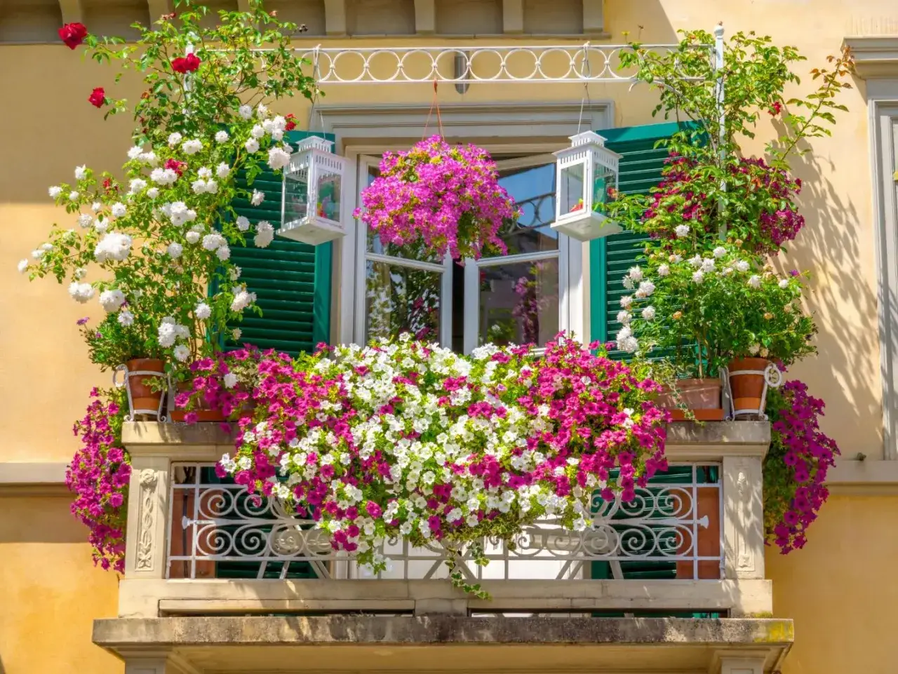 Balkon pełen kwitnących kwiatów, w tym róż i petunii, tworzy barwny dywan. Wśród zieleni widać białe latarenki, a całość przypomina urokliwe kwiaty turki.