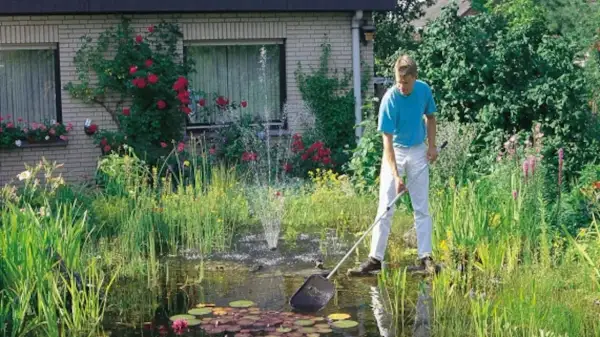 Mężczyzna pielęgnuje bujne oczko wodne w ogrodzie, usuwając liście siatką. Wokół kwitną róże i inne kwiaty.