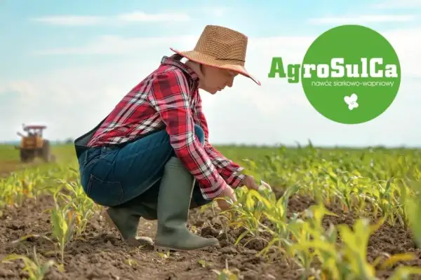 Rolniczka w kapeluszu dogląda młodych roślin kukurydzy. W tle widać traktor. Logo AgroSulCa sugeruje nawóz dla zdrowego pomiotu kurzego.
